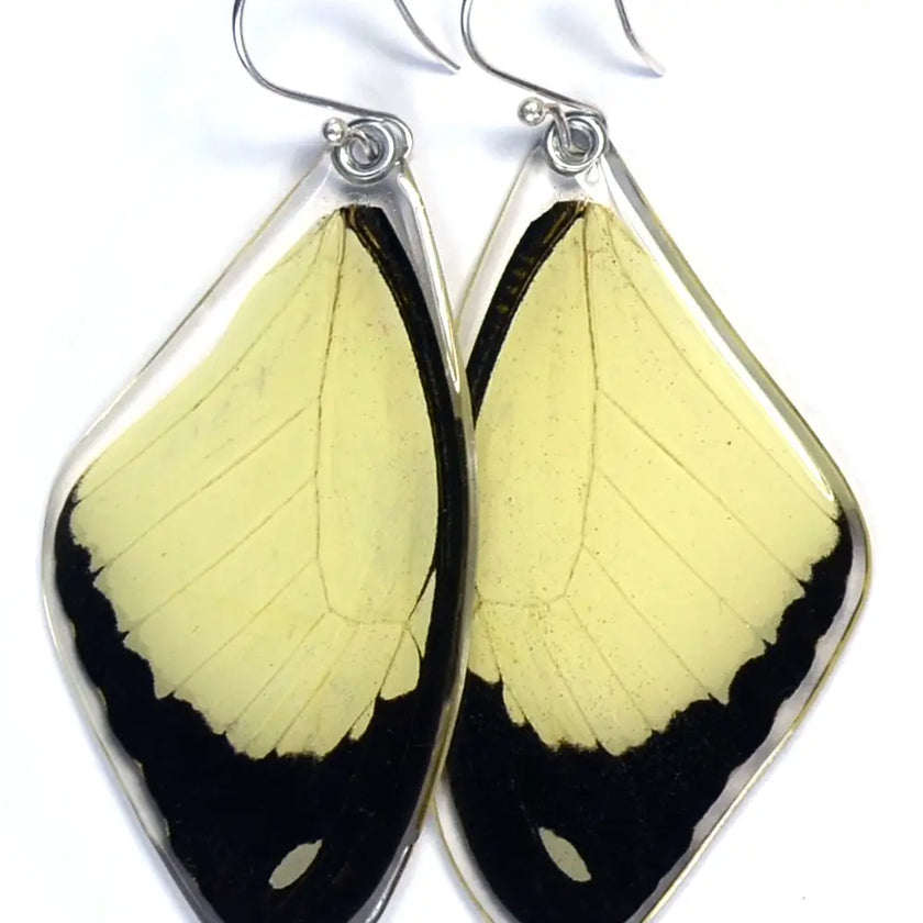 Wingstitution Butterfly Jewelry