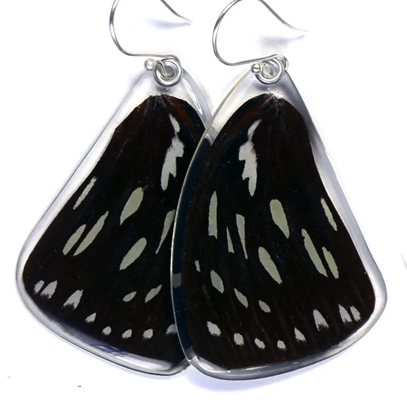 Wingstitution Butterfly Jewelry