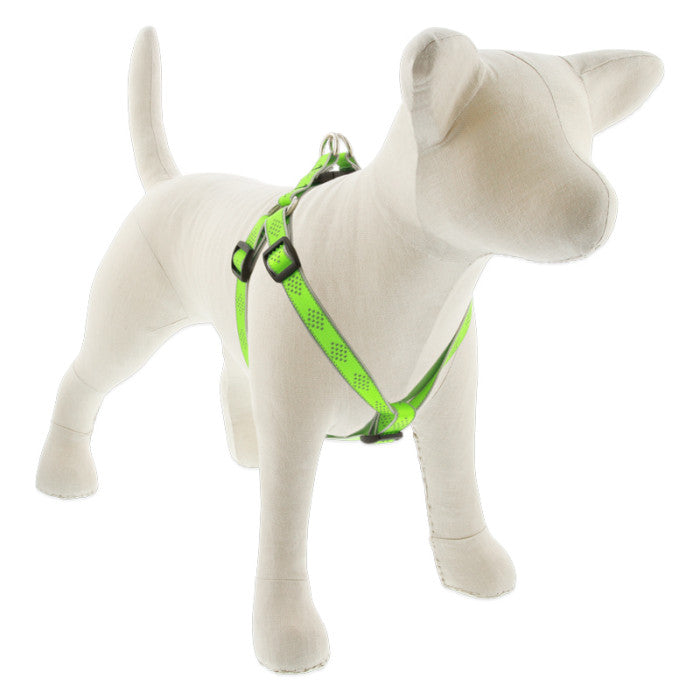 Reflective Step In Dog Harnesses by Lupine