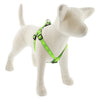 Reflective Step In Dog Harnesses by Lupine