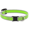 High Lights Collar Collection by Lupine