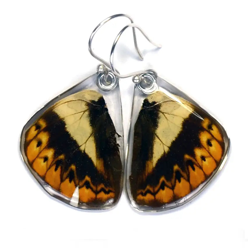 Wingstitution Butterfly Jewelry