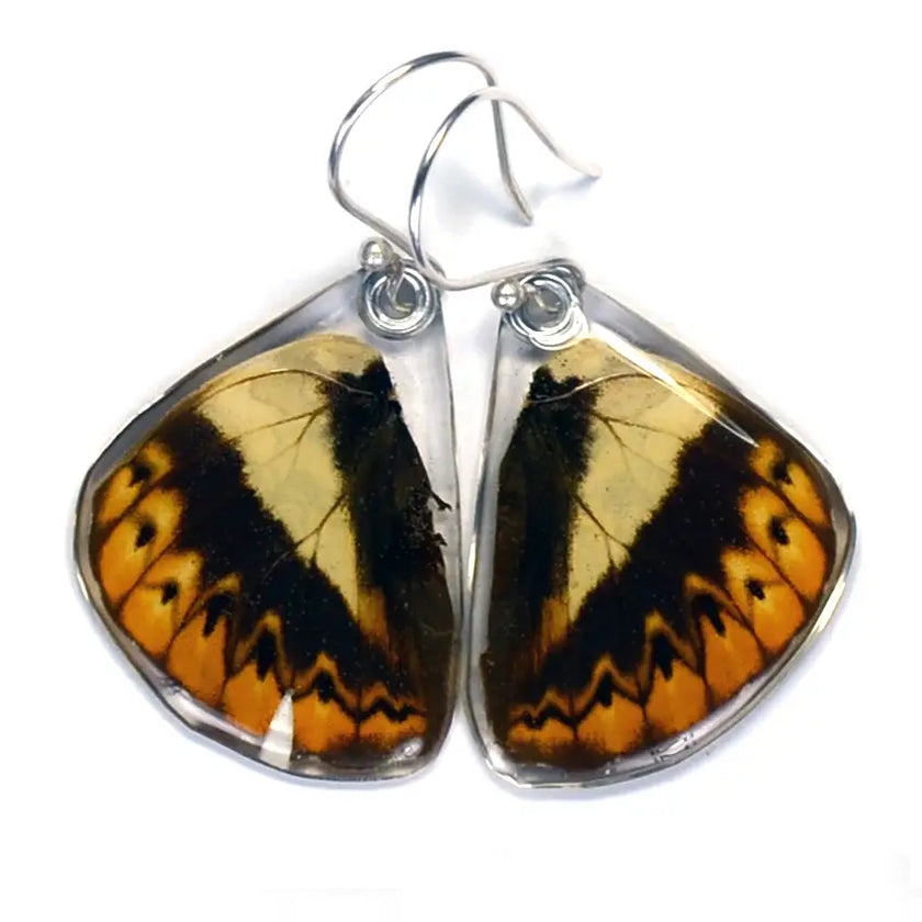 Wingstitution Butterfly Jewelry