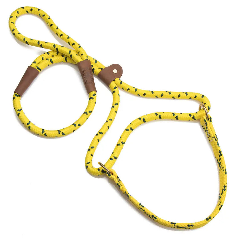Mendota Martingale Leash