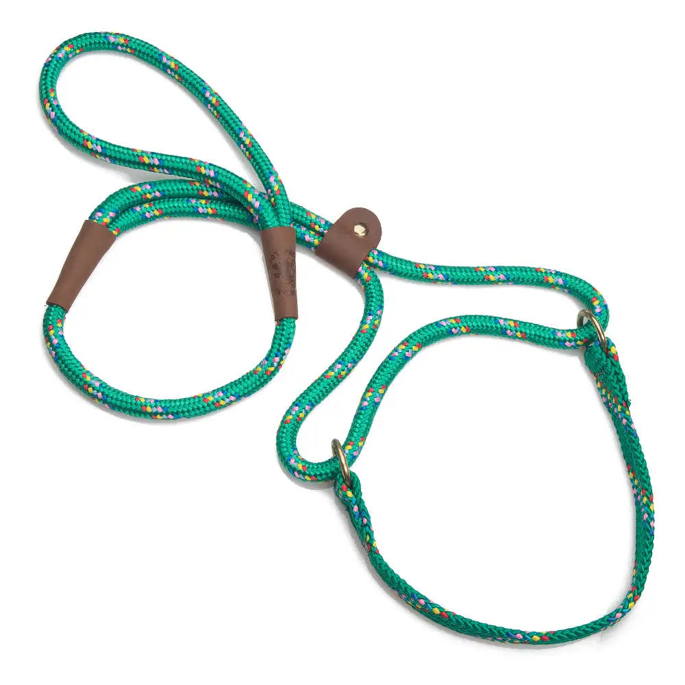 Mendota Martingale Leash