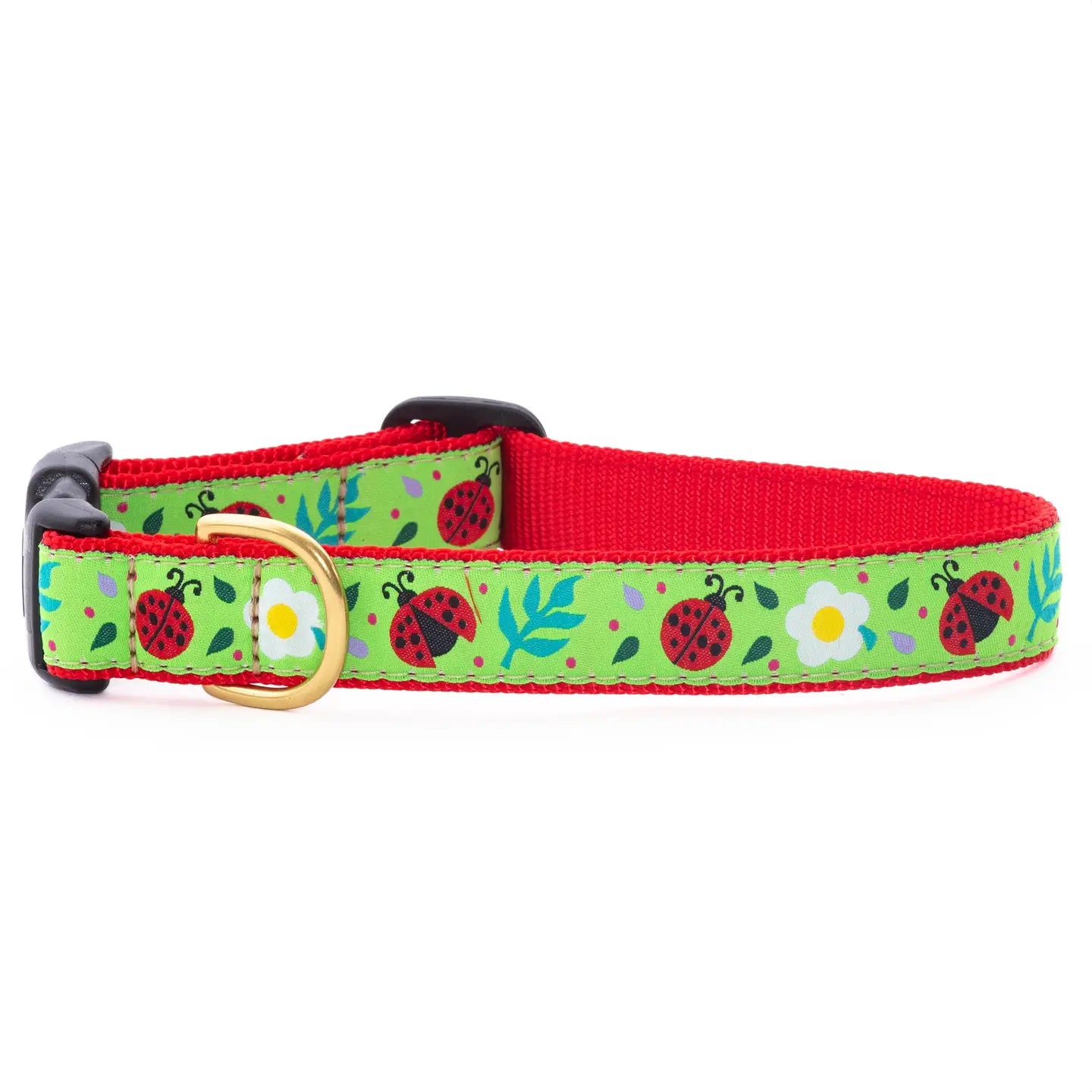 Up Country Collars