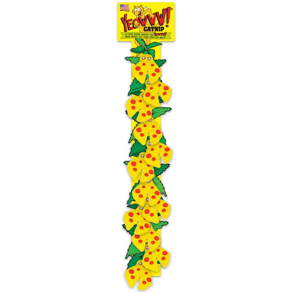 Yeowww! Lady Krinkle Bug