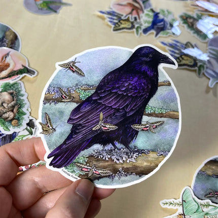 Lucinda Rowe Art