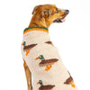 Medium Chilly Dog Sweaters