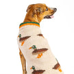 XXL Chilly Dog Sweaters