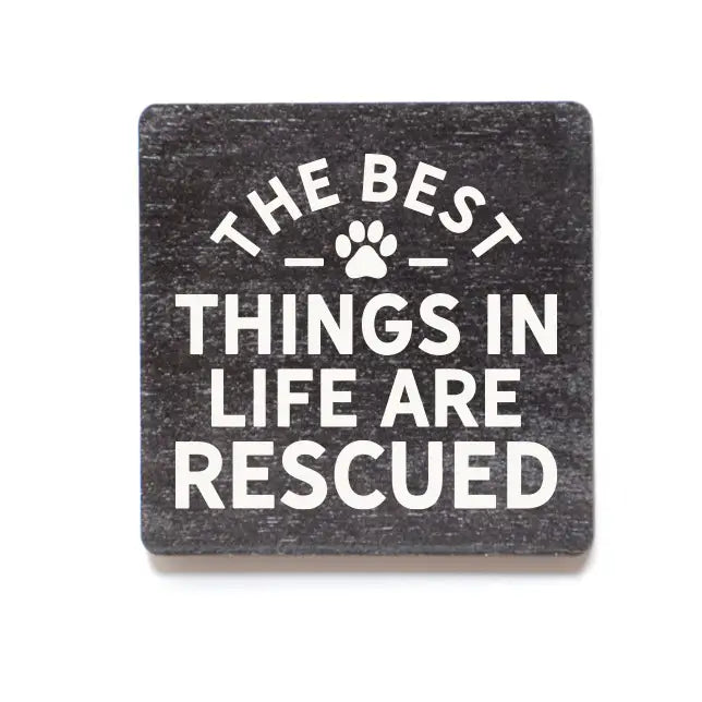 Magnets by Wall Things & Shelf Stuff