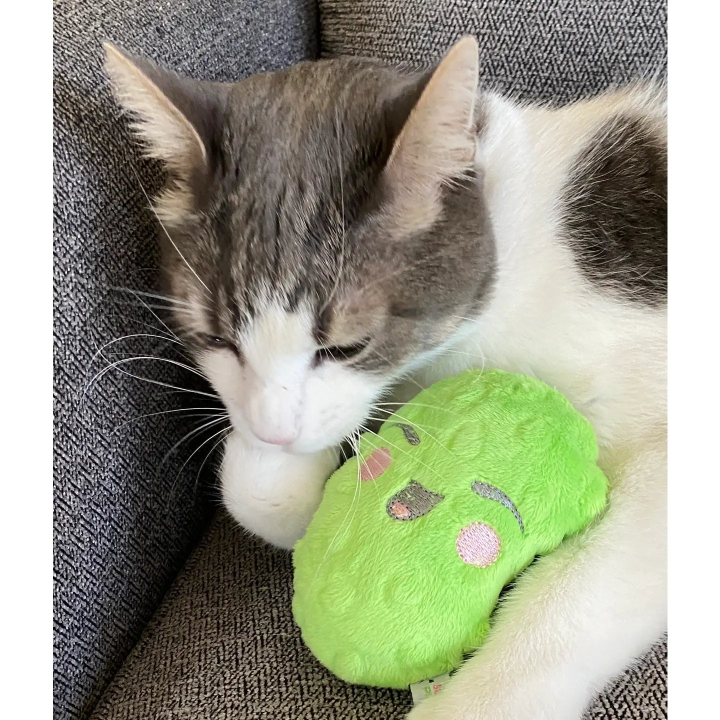 Cat Toys by Screaming Pickles
