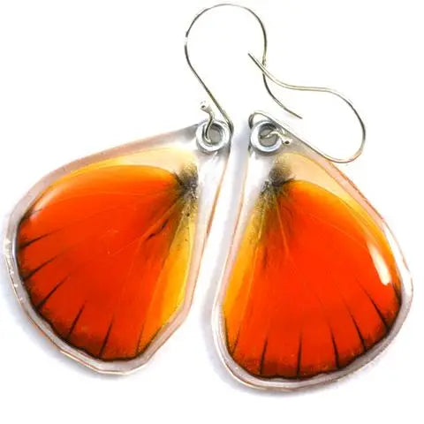 Wingstitution Butterfly Jewelry