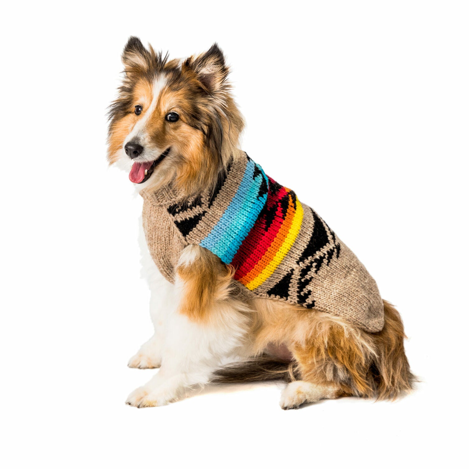 Medium Chilly Dog Sweaters