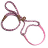 Mendota Martingale Leash