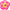 Yeowww Daisy's Flower Tops