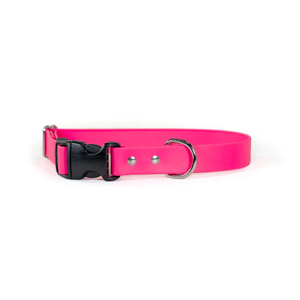 Auburn Leathercrafters- Sparky's Adventure Collars