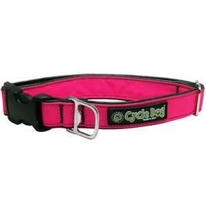 Cycle Dog Collar and Leashes