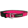 Cycle Dog Collar and Leashes