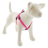 Reflective Step In Dog Harnesses by Lupine