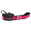 Cycle Dog Collar and Leashes