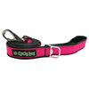 Cycle Dog Collar and Leashes