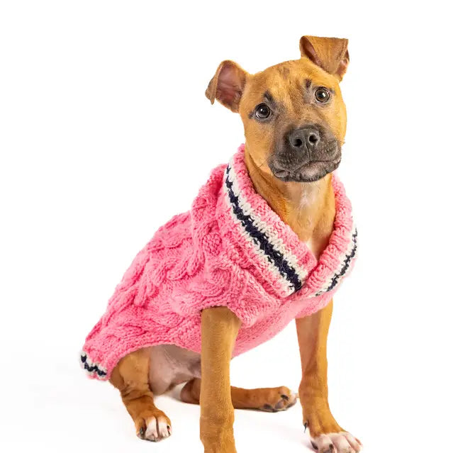 XS Chilly Dog Sweaters