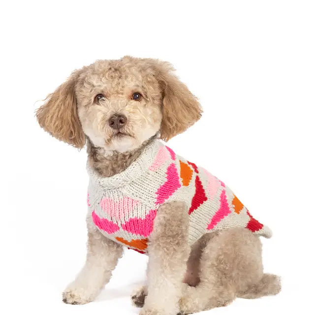 XL Chilly Dog Sweaters