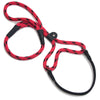 Mendota Martingale Leash