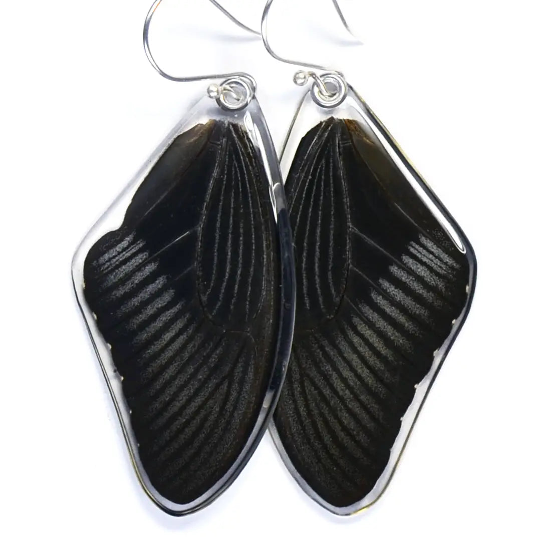 Wingstitution Butterfly Jewelry