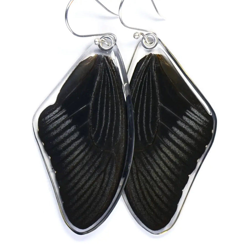 Wingstitution Butterfly Jewelry