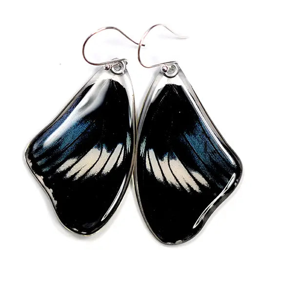 Wingstitution Butterfly Jewelry