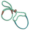 Mendota Martingale Leash