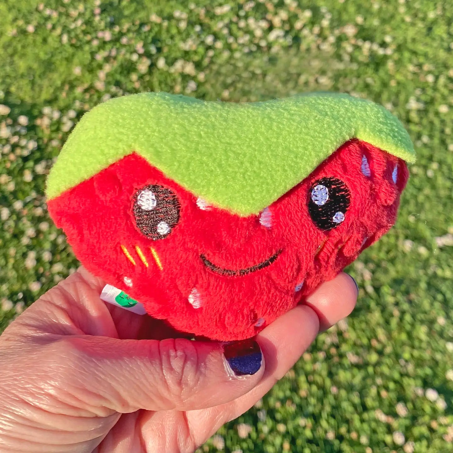 Cat Toys by Screaming Pickles