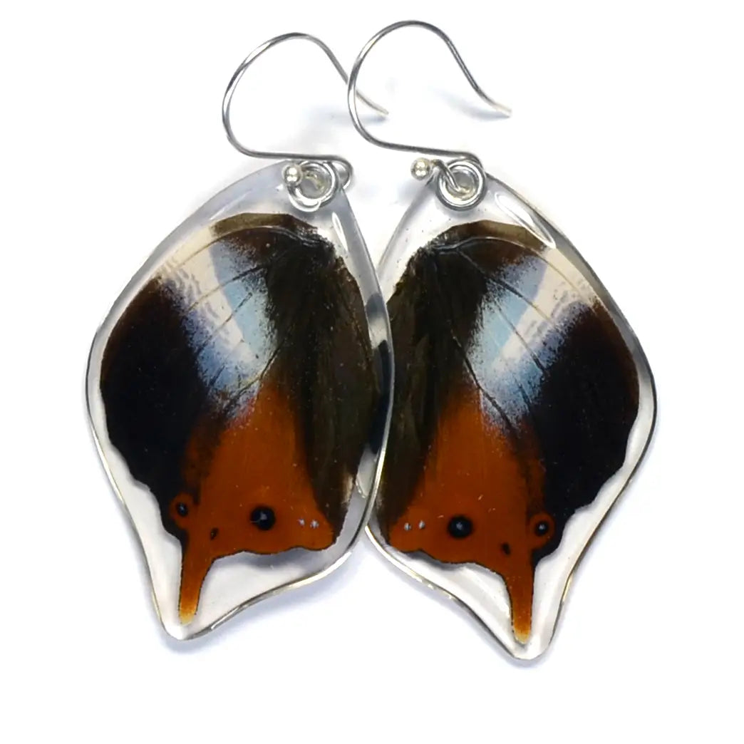 Wingstitution Butterfly Jewelry