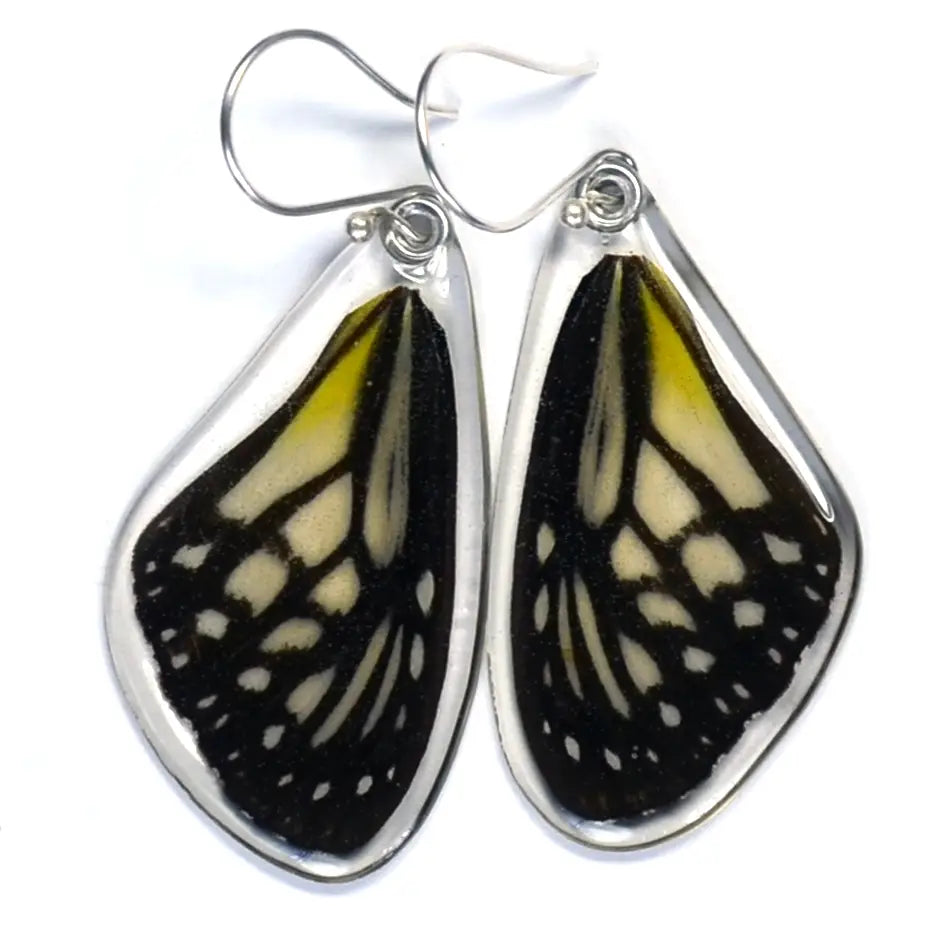 Wingstitution Butterfly Jewelry
