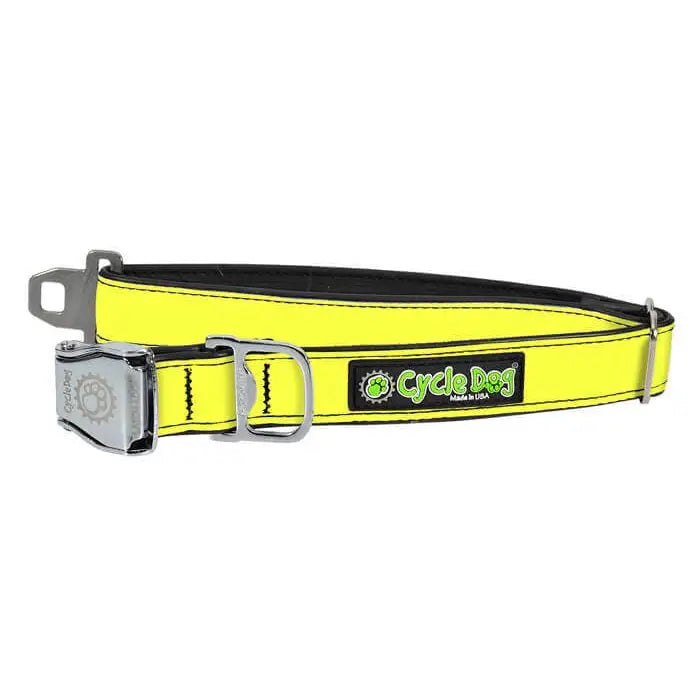 Cycle Dog Collar and Leashes