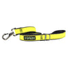 Cycle Dog Collar and Leashes