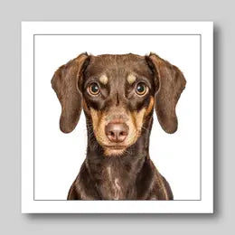 Gruff Pawtraits Greeting Cards