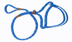 Mendota Martingale Leash
