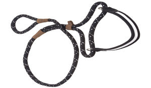 Mendota Martingale Leash