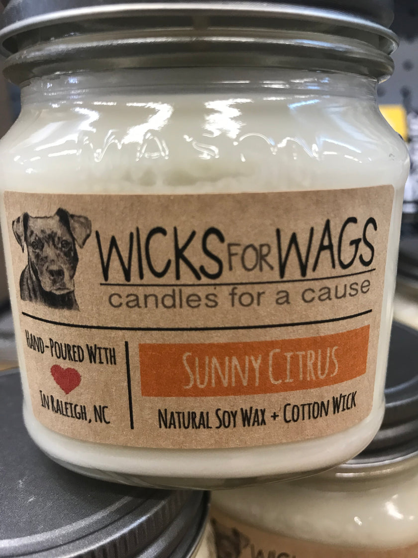 Wicks for Wags
