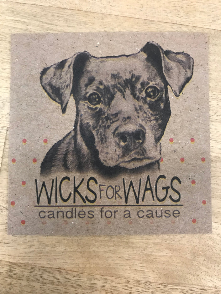 Wicks for Wags