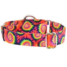 2 Hounds Design Martingale Style Collars