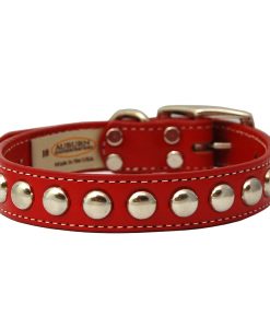 Auburn Leathercrafters Silver Studded Collar