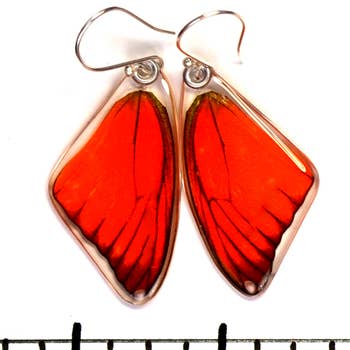 Wingstitution Butterfly Jewelry