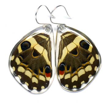 Wingstitution Butterfly Jewelry