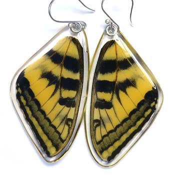 Wingstitution Butterfly Jewelry