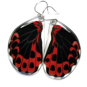 Wingstitution Butterfly Jewelry