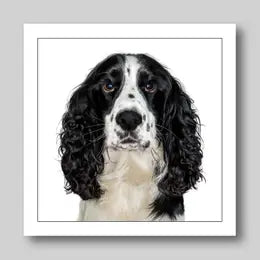 Gruff Pawtraits Greeting Cards